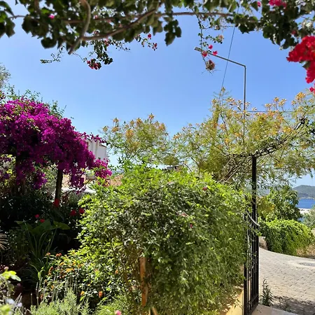 Kale Aparts Apartamento Kaş